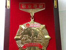 长清区道德模范奖章