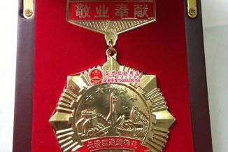 长清区道德模范奖章
