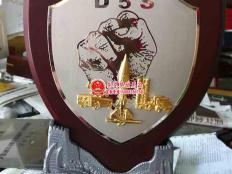 D5S八一部队纪念奖牌