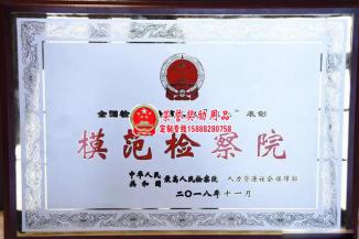 模范检察院表彰奖牌