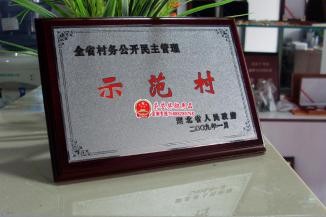 湖北人民政府示范村奖牌