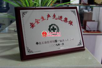 安全生产先进集体纪念奖牌