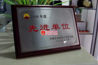 中石油先进单位奖牌