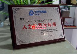 人民发展达标部奖牌