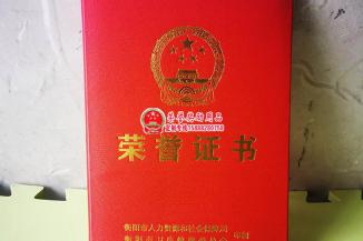 衡阳市人力资源保障部荣誉证书
