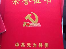 中国无为县委奖励荣誉证书