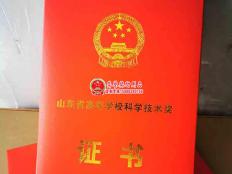 山东高等学校科学技术奖证书