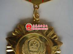 严打整治专项行动先进个人奖章