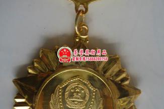 严打整治专项行动先进个人奖章