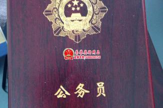人民满意公务员奖章