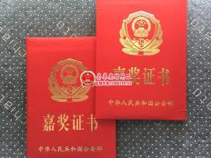 公安部嘉奖证书外壳