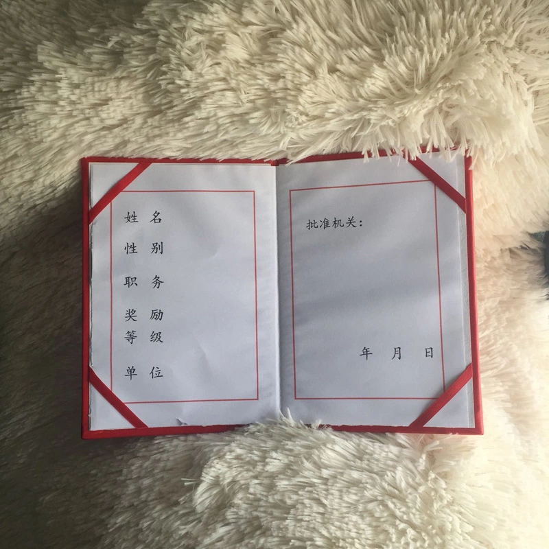 公安部功勋奖励证书